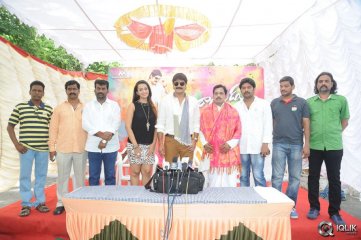 Jalsa Rayudu Movie Opening